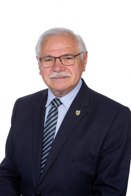 Vizebürgermeister Vizebürgermeister