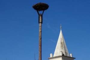 Storchennest fertiggestellt!