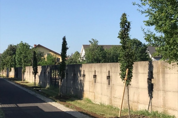Für unsere Umwelt mehr Bäume Für unsere Umwelt mehr Bäume