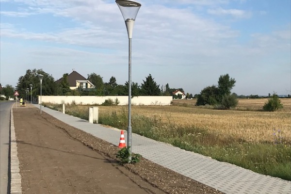 Neuer Gehweg und Blumenwiese Neuer Gehweg und Blumenwiese